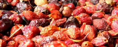 Сколько времени обычно уходит на сушку шиповника. Сушка шиповника