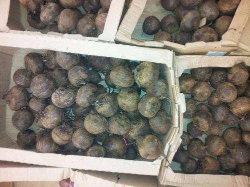 Как лучше хранить морковь и свеклу в зимнее время в квартире. Хранение моркови и свеклы дома 06 Как лучше хранить морковь и свеклу в зимнее время в квартире. Хранение моркови и свеклы дома 06