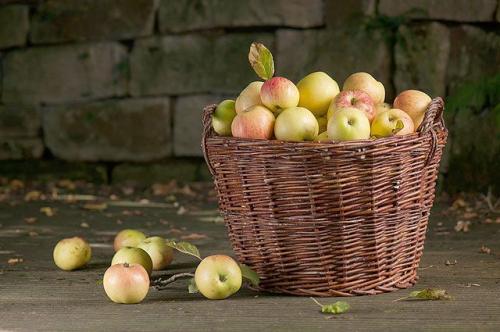 Какое питательное значение имеют яблоки в этом блюде. Витамин на каждый день. Почему печёные яблоки — лучший десерт?