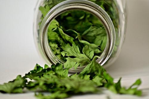 Можно ли сушить другие травы вместе с шиповником в духовке с конвекцией. Сушка петрушки