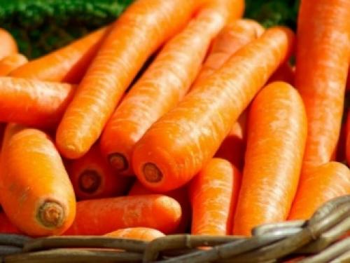 Как хранить морковь в домашних условиях зимой. Лучшие способы, как хранить морковь после сбора урожая до весны 07 Как хранить морковь в домашних условиях зимой. Лучшие способы, как хранить морковь после сбора урожая до весны 07