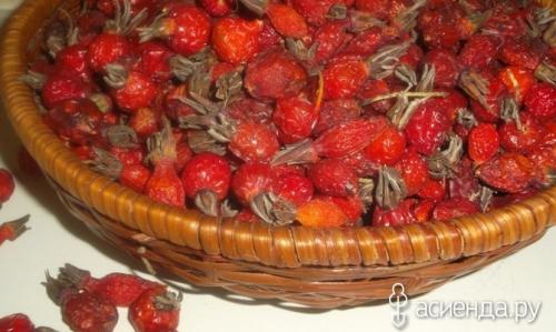 Как хранить высушенные ягоды шиповника, чтобы сохранить их полезные свойства. Как правильно хранить шиповник