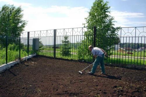 Какие преимущества имеет использование ложки подкормки в лунку перед другими методами удобрения. Топ-12 способов применения костной муки на огородном и садовом участке