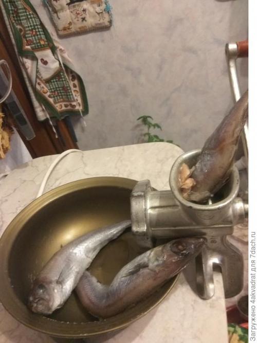 Используем рыбную муку для удобрения томатов. Устройте томату «рыбный день», и это не обязательно четверг