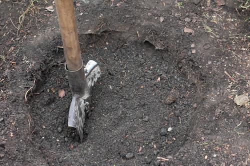 Какие преимущества имеет использование ложки подкормки в лунку перед другими методами удобрения. Топ-12 способов применения костной муки на огородном и садовом участке