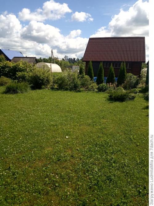 Какой эффект на рост и урожайность перца оказывает добавление рыбной муки. Рыбная мука, как удобрение