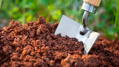 Какой дозировкой следует пользоваться при удобрении томатов рыбной мукой. Подкормка для различных культур