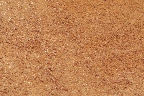 Как хранить морковь зимой в домашних условиях. Как хранить продукцию в подвалах и погребах