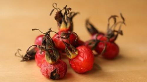 Можно ли сушить шиповник на солнце, и как это сделать правильно. Как сушить шиповник на балконе. Как правильно сушить шиповник