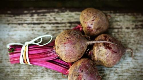 Как хранить свеклу в полиэтиленовых пакетах. Как хранить свеклу зимой в погребе?