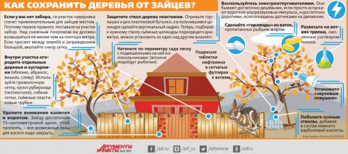 Как отвадить зайцев от сада. Пушистая угроза. Как защитить участок от зайцев?