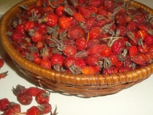 В чем лучше сушить шиповник: на воздухе, в духовке или с помощью сушилки. Сушка шиповника в духовом шкафу