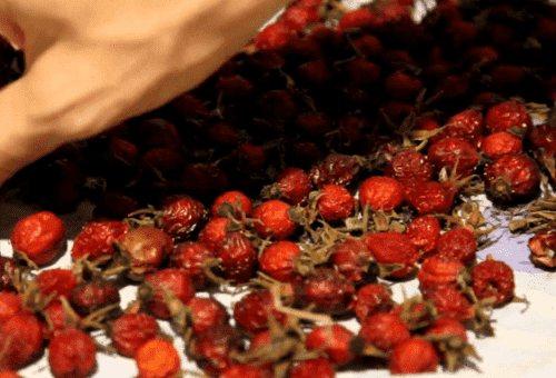 Боярышник заготовка сушка хранение. Рекомендации по сбору ягод боярышника и способы их сушки