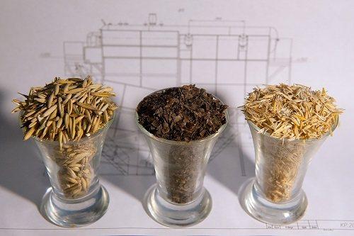 Лузга подсолнечника состав. Утилизация лузги