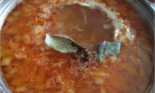 Как правильно подготовить квашеную капусту для приготовления красных щей. Русские щи из квашеной капусты — 9 классических рецептов приготовления