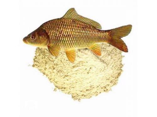 Какой эффект оказывает подкормка рыбной муки на половое созревание рыб в осенний период. Технология производства рыбной муки