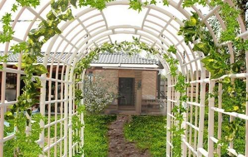 Сентябрьский уход за молодым виноградом: советы для обильного урожая 15