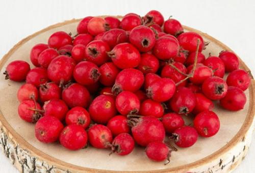 Боярышник когда собирать и как хранить. Общие правила подготовки и хранения