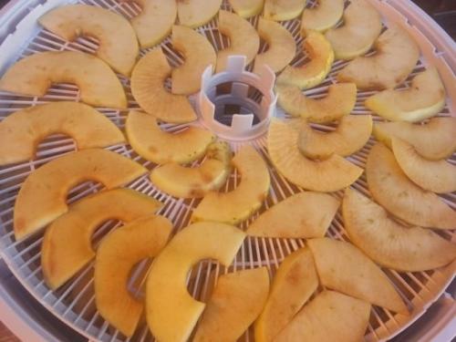 Сушка яблок в домашних условиях. Как правильно сушить яблоки в домашних условиях, особенности сушки разными способами