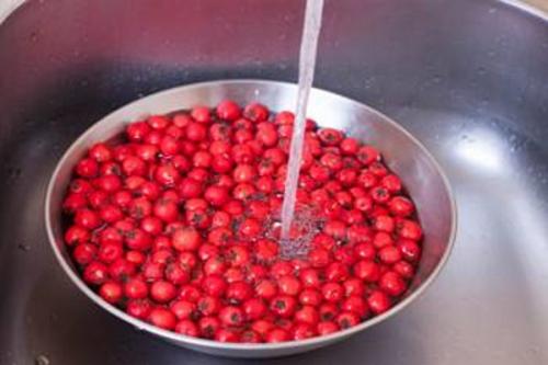 Как сушить боярышник в духовке. Как сушить боярышник в электросушилке, духовке