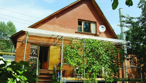 Как восстановить виноград после неудачной зимовки. Задачи на будущее