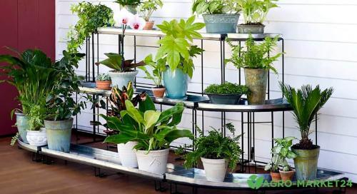 Вношу на грядки шелуху подсолнечника. Как мульчировать почву шелухой 04