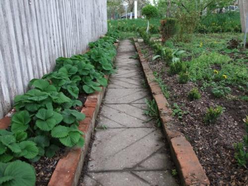 Шелуха от семечек подсолнуха и тыквенных. Мульчирование