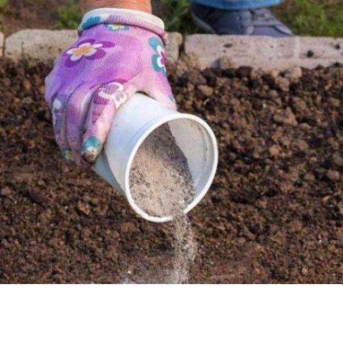 Шелуха от семечек подсолнуха и тыквенных. Мульчирование 10