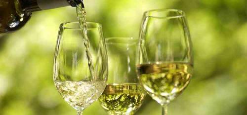 Вино из винограда Изабелла. Рецепт белого вина Изабелла