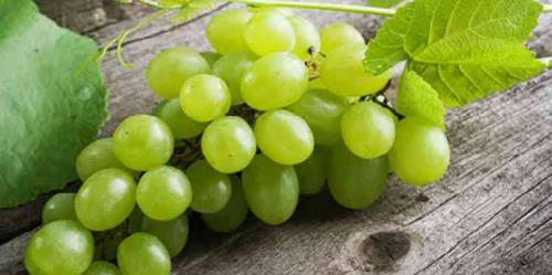 Вино из винограда Изабелла. Рецепт белого вина Изабелла