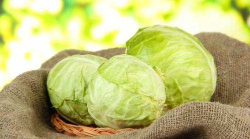 Какой срок хранения мороженной капусты. Как хранить капусту?