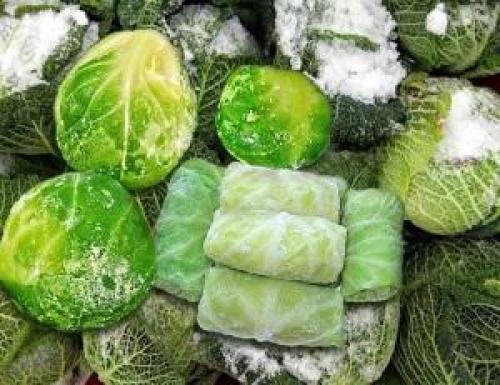 Какой срок годности имеет замороженная капуста. Оптимальные условия