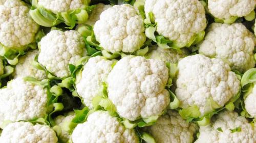 В какой упаковке лучше хранить замороженную капусту. Как правильно хранить цветную капусту