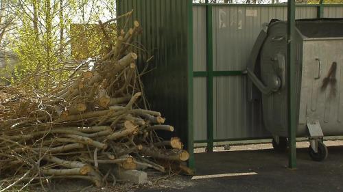 Как хранить обрезанные ветки или избавляться от них. Как утилизировать обрезанные ветки деревьев и почему их не вывозят с контейнерных площадок?