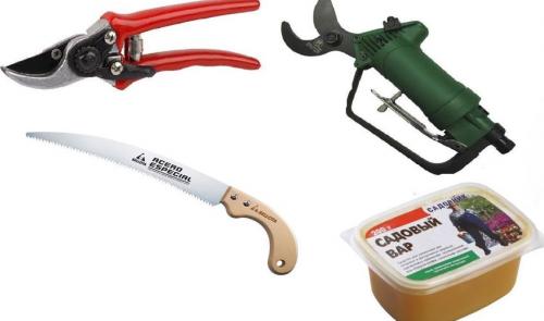 Нужно ли обрабатывать срезы после обрезки, и чем. Чем замазывать дерево после обрезки