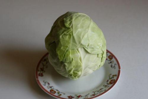 Можно ли тушеную капусту замораживать в морозильнике. Можно ли замораживать свежую и тушеную белокочанную капусту на зиму и как правильно