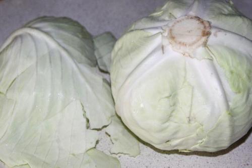 Можно ли тушеную капусту замораживать в морозильнике. Можно ли замораживать свежую и тушеную белокочанную капусту на зиму и как правильно