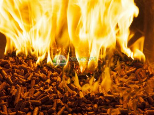 Жмых подсолнечника, как удобрение. Чем полезна лузга подсолнечника