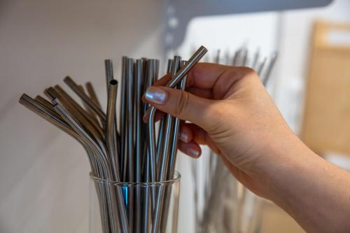 Как бороться с мусором на улицах. Три простых шага к решению мусорной проблемы