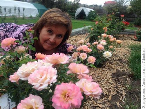 Каким образом ваш опыт может быть полезен другим садоводам. Природное земледелие, или Как хобби превращается в работу