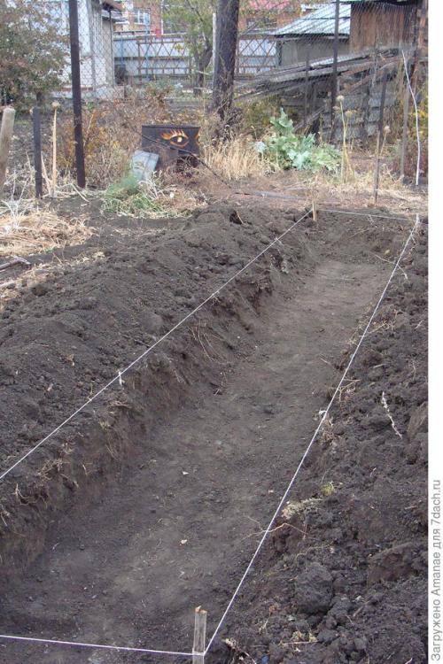 Каким образом ваш опыт может быть полезен другим садоводам. Природное земледелие, или Как хобби превращается в работу