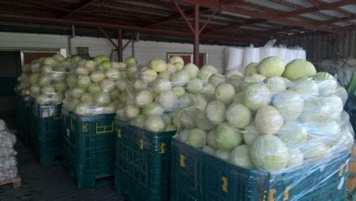 Существуют ли специальные контейнеры или упаковки для хранения капусты. Способы хранения