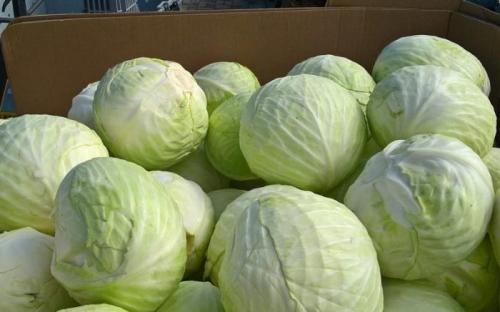 Существуют ли специальные контейнеры или упаковки для хранения капусты. Способы хранения