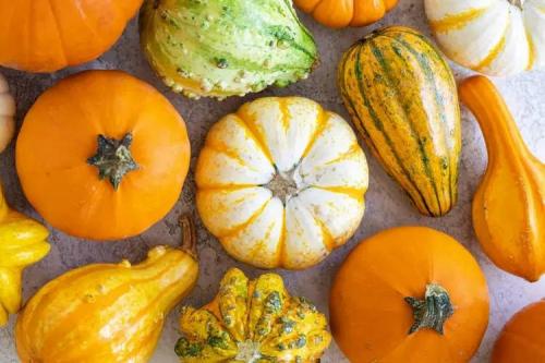 Эффективные способы сохранения тыквы в подвале: советы и рекомендации 17 Эффективные способы сохранения тыквы в подвале: советы и рекомендации 17