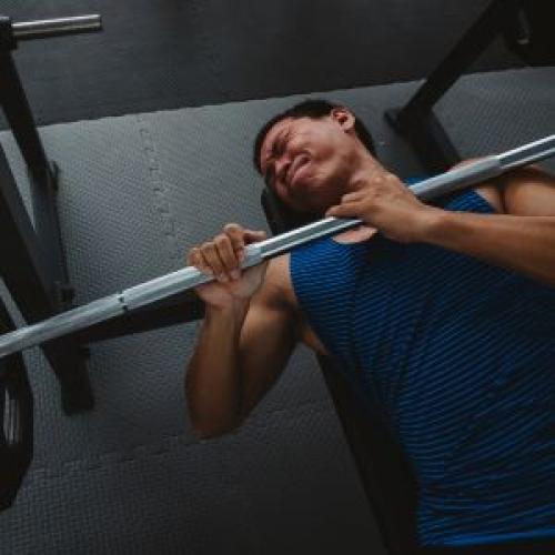 Весенняя прививка яблони: пошаговая инструкция для начинающих 06 Весенняя прививка яблони: пошаговая инструкция для начинающих 06