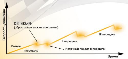 Как перепривить плодовые деревья весной: пошаговая инструкция 01 Как перепривить плодовые деревья весной: пошаговая инструкция 01