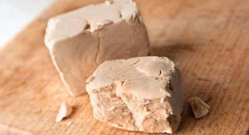 Когда и как заготавливать черенки: полное руководство 09