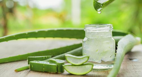 Когда и как заготавливать черенки: полное руководство 08