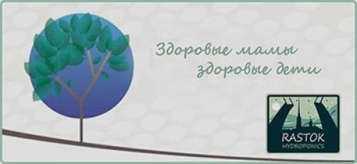 Когда и как заготавливать черенки: полное руководство 11