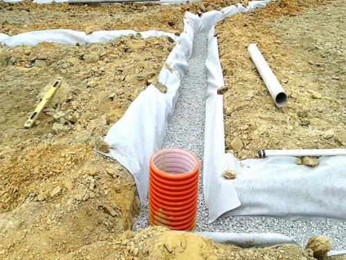 Плодовый сад и питомник: полезные советы для начинающих 05